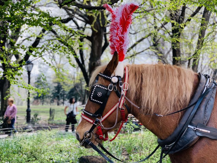 New York City: Central Park Private Horse and Carriage Tour - Cost and Value: $188 Per Group Up to 4