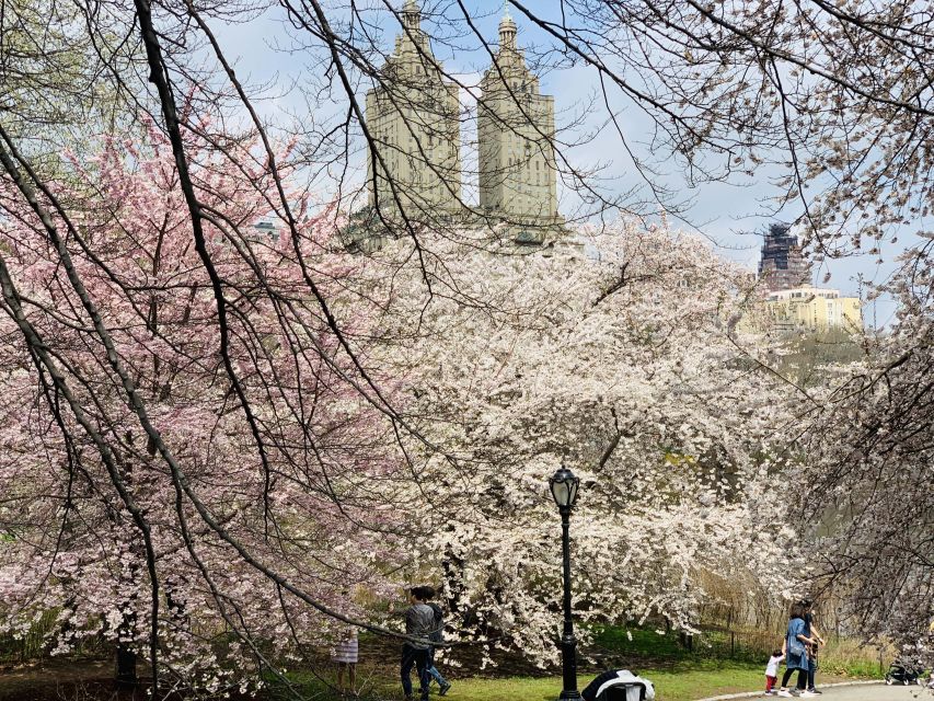 New York City: Central Park Private Horse and Carriage Tour - Should You Book This Central Park Carriage Tour?