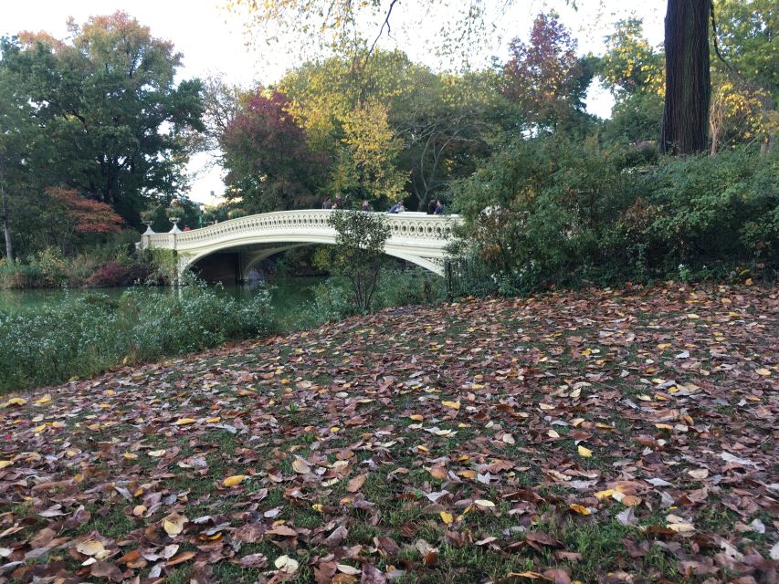 New York City: Central Park Tour by Pedicab - Your guide does the heavy lifting: customization and photo-friendly pacing