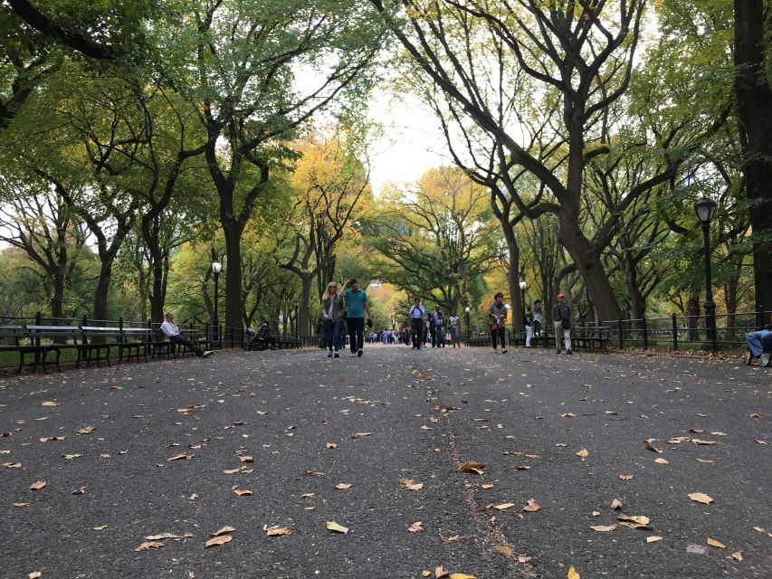 New York City: Central Park Tour by Pedicab - Comfort that keeps the tour fun: canopy, pedal assist, and blankets