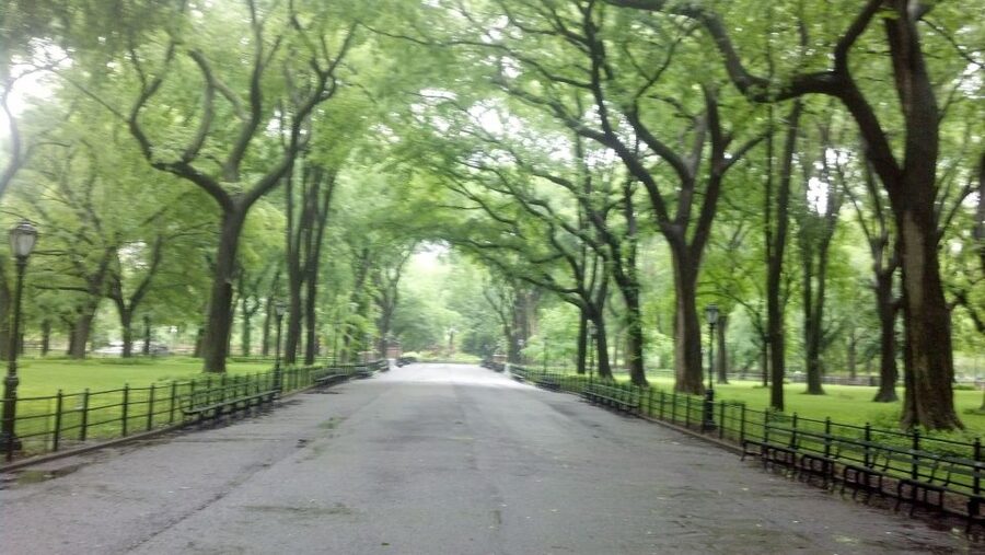 New York City: Central Park Walking Tour - Meeting Central Park at 2 Columbus Circle (Museum of Arts and Design)