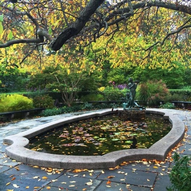 New York City : Central Park Walking Tour With A Guide - Your guide shapes the whole day: history, patience, and flexible pacing