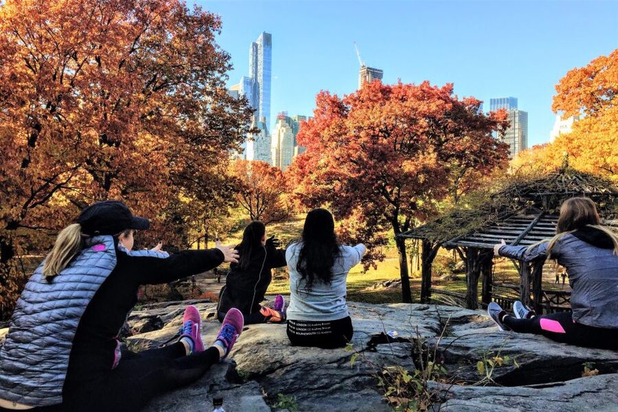 New York City: Central Park Yoga and Walking Tour - Quick Take: What Makes This Central Park Yoga Tour Worth Your Time