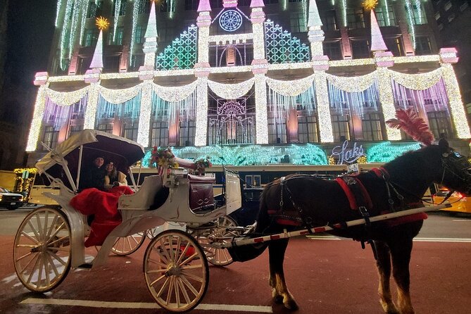 New York City Christmas Lights Private Horse Carriage Ride - Key Highlights That Matter