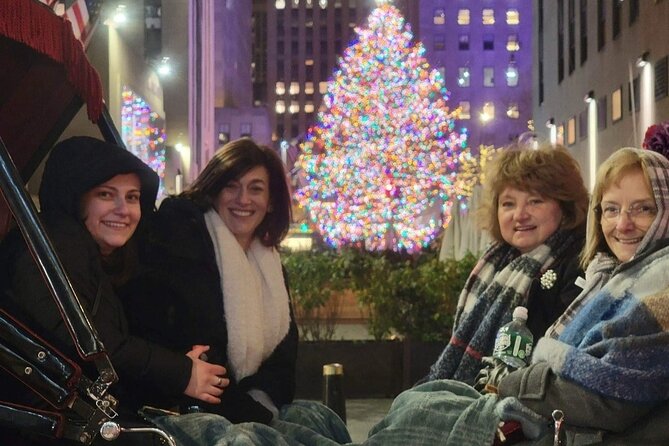 New York City Christmas Lights Private Horse Carriage Ride - A Horse Carriage Is a Smart Way to See Christmas Lights in NYC
