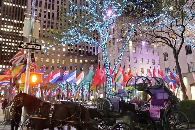 New York City Christmas Lights Private Horse Carriage Ride - Central Park First: That First Glow hits Different