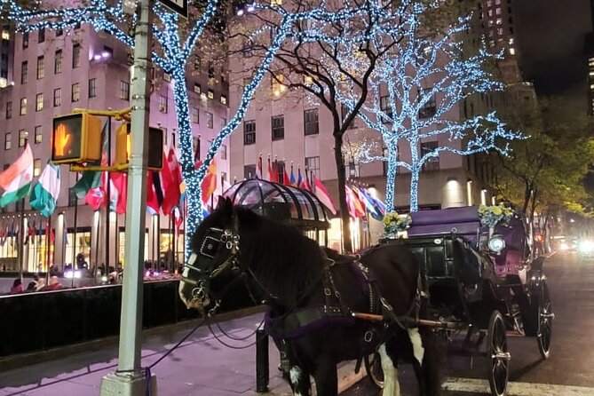 New York City Christmas Lights Private Horse Carriage Ride - Down 5th Avenue: Window Displays, Cathedral Views, and Holiday Stars