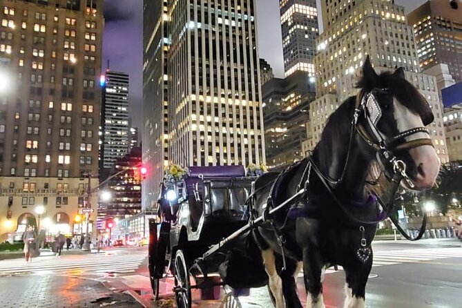 New York City Christmas Lights Private Horse Carriage Ride - Saks on 5th Ave Timing: Why the Stops Get Mentioned So Often