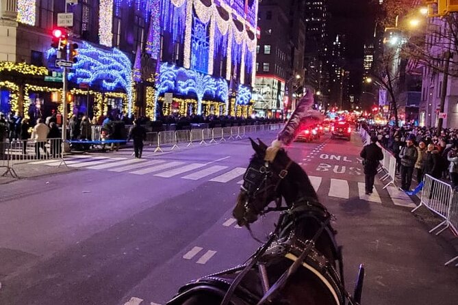 New York City Christmas Lights Private Horse Carriage Ride - Drivers and Horses: The Part That Makes It Feel Personal