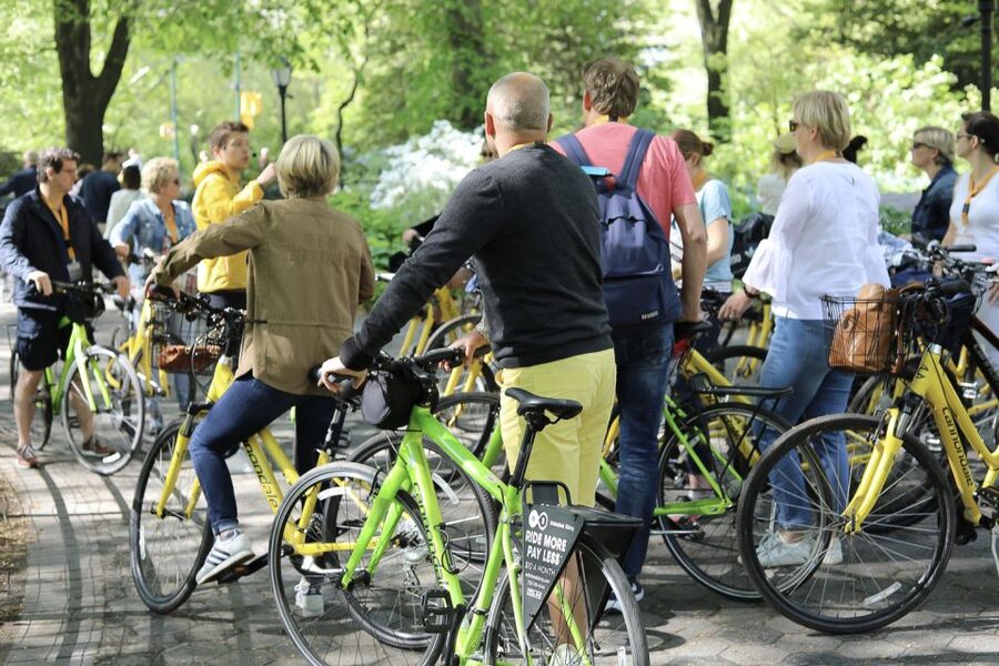 New York City: City Highlights Guided Bike or eBike Tour - Chinatown and Washington Square Park: People, Shapes, and Short Stops Done Well