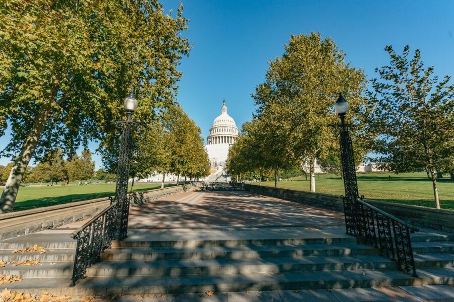 New York City: Full-Day Washington DC City Highlights Tour - The return to New York: planning for a long finish