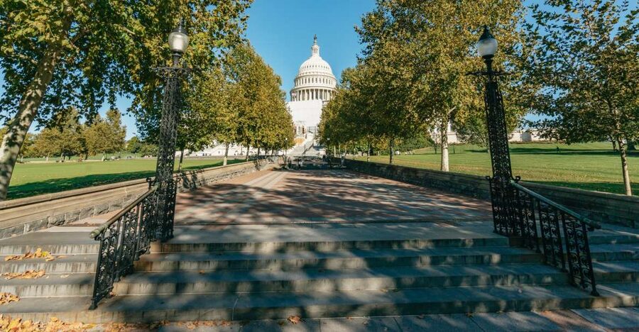 New York City: Full-Day Washington DC City Highlights Tour - Price and value: why $149 can work (and when it won’t)
