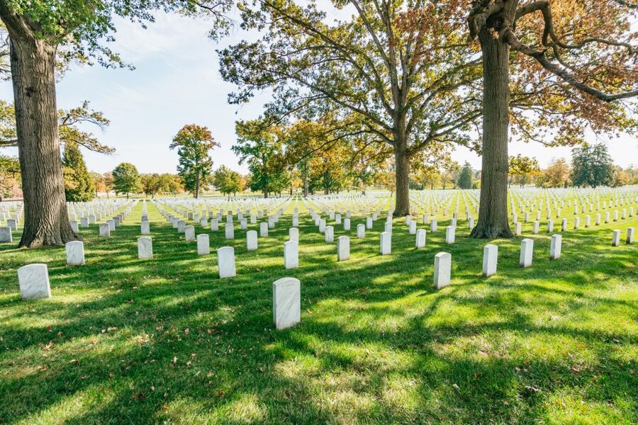 New York City: Full-Day Washington DC City Highlights Tour - Lincoln Memorial, Korean War Veterans Memorial, and Vietnam Veterans Memorial: structured reflection