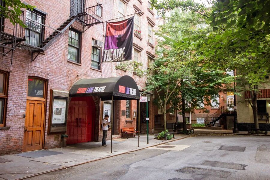 New York City: High Line and Greenwich Village Combo Tour - Who this tour is best for