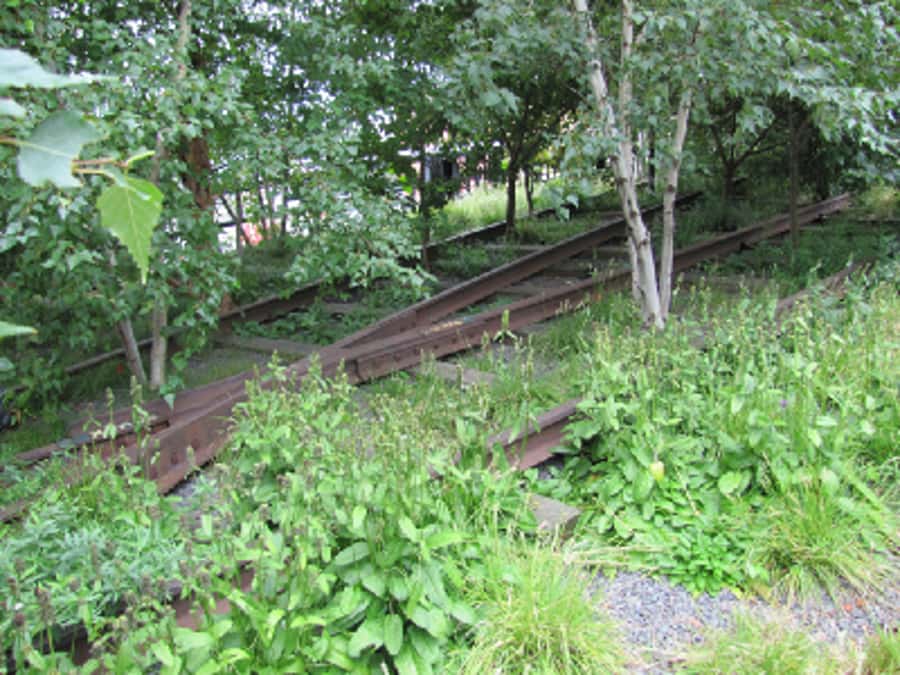 New York City: High Line Walking Tour - FAQ