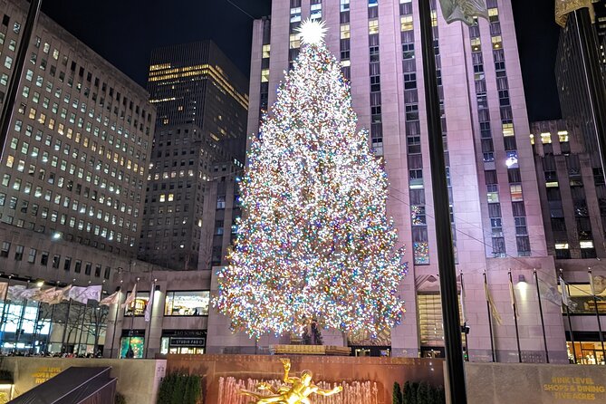 New York City Holiday Lights Tour - Key highlights you should care about