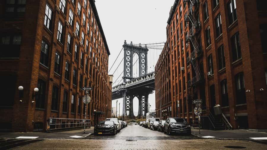 New York City: Multicultural Contrasts Tour - Key highlights at a glance