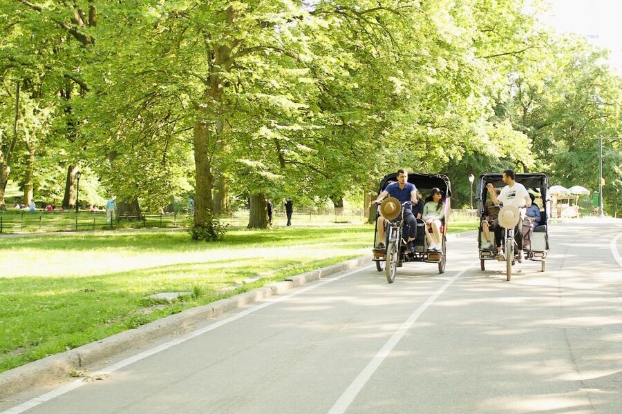New York City: Private Central Park Pedicab Tour - From Central Park Zoo to Balto: the stops that add personality