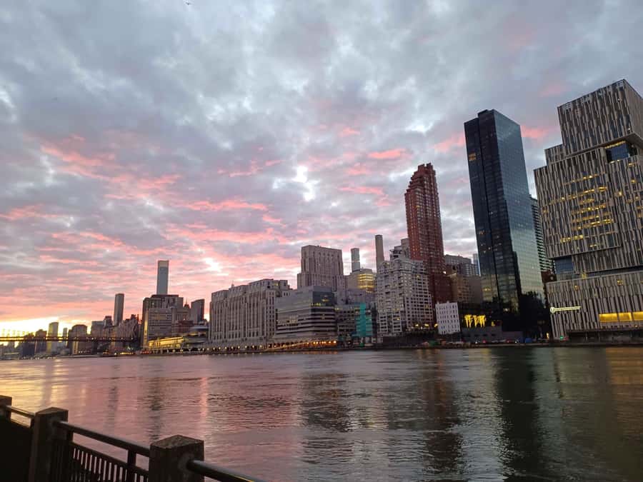 New York City: Roosevelt Island Walking Tour with Tram Ride - Key Highlights You’ll Remember