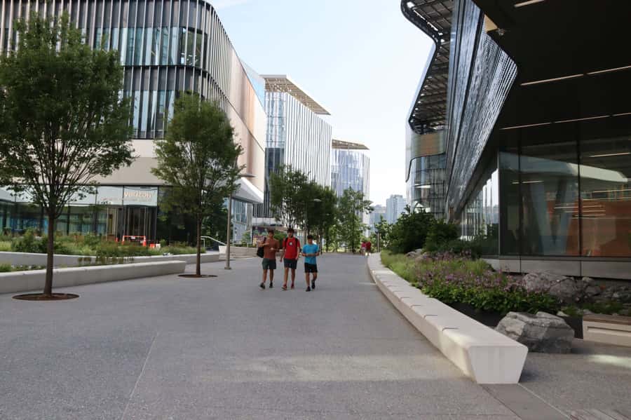 New York City: Roosevelt Island Walking Tour with Tram Ride - Roosevelt Island: The City’s Quiet “In-Between” with a Big Story