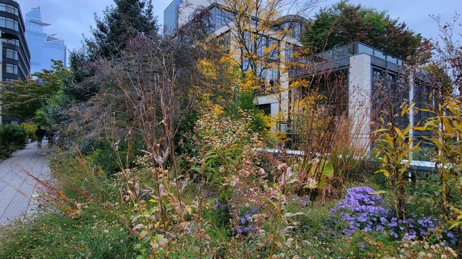 New York City: Secrets Of High Line Park Walking Tour - Key things that make this tour worth your time