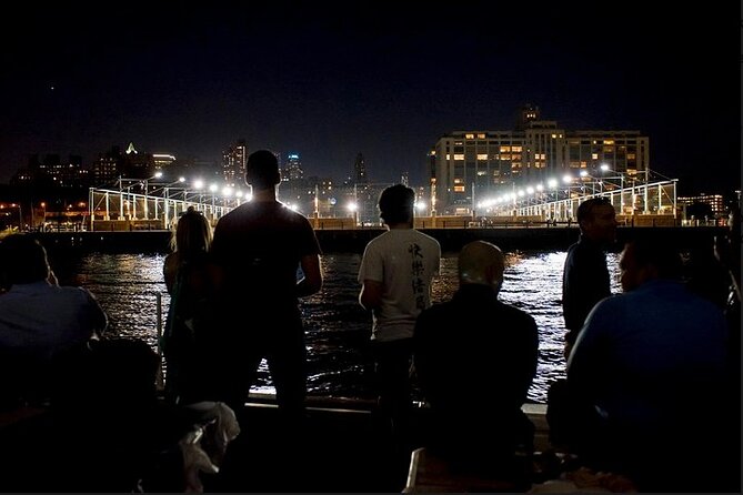 New York City Skyline Night Sailboat Tour - Statue of Liberty lit up at night (your main moment)