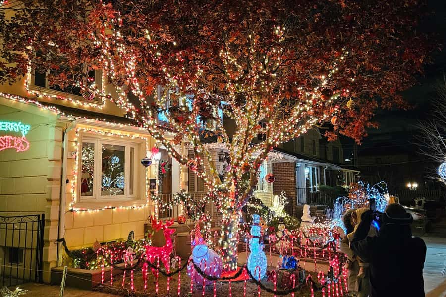 New York: Dyker Heights Christmas Lights Guided Walking Tour - Who should book this tour (and who should skip it)