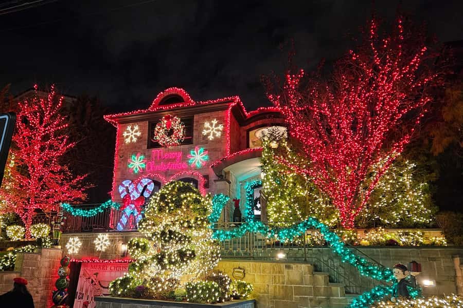 New York: Dyker Heights Christmas Lights Guided Walking Tour - Should you book Dyker Heights Christmas Lights?