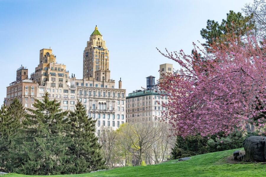 New York Edge Observation Deck & Little Island Pier 55 tour - Timing, weather, and what to wear