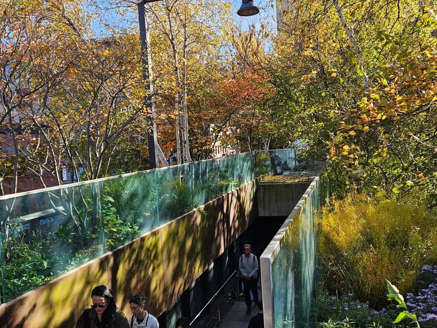 New York: High Line, Chelsea Market, and Vessel Guided Tour - Starting outside the Whitney Museum of American Art (and getting your bearings fast)