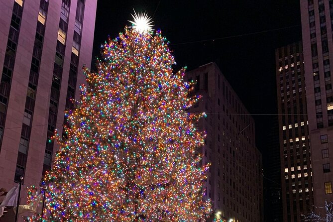 New York Holiday Lights and Sights Walking Tour - Key highlights worth knowing