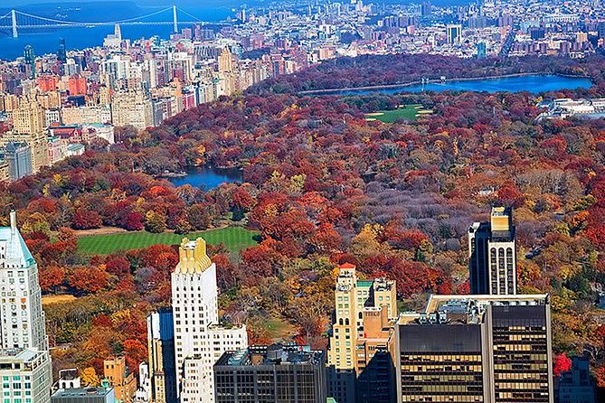 New York Tour by Subway and Bus with Private Guide - How a private subway-and-bus tour feels different (and better)