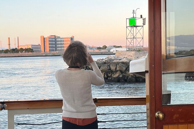 New York Urban Wildlife Sunset Boat Tour - North and South Brother Islands Area: The Wildlife-Spotting Payoff