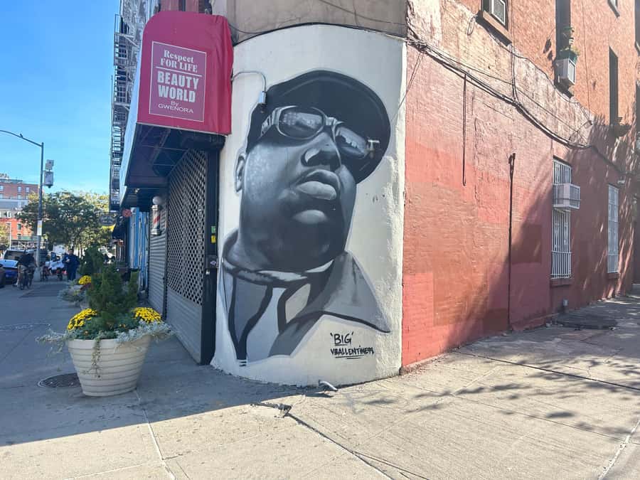 NYC, Brooklyn: Notorious Biggie Smalls Themed Walking Tour - Christopher Wallace’s childhood places: why the streets feel different on foot