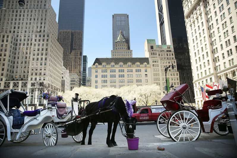 NYC: Central Park Christmas Lights Horse-Drawn Carriage Ride - Key things to know before you go