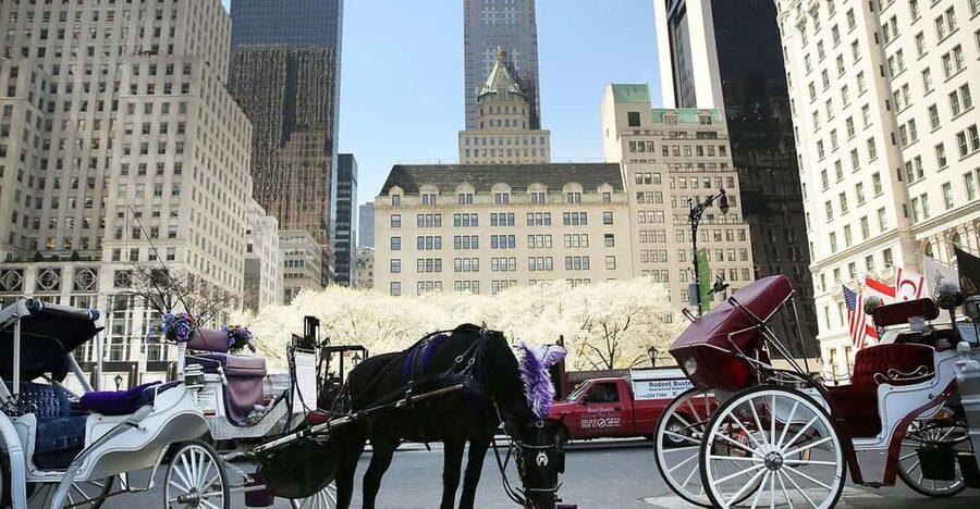 NYC: Central Park Christmas Lights Horse-Drawn Carriage Ride - Why a Central Park Christmas Lights Carriage Ride Feels Different Than Walking