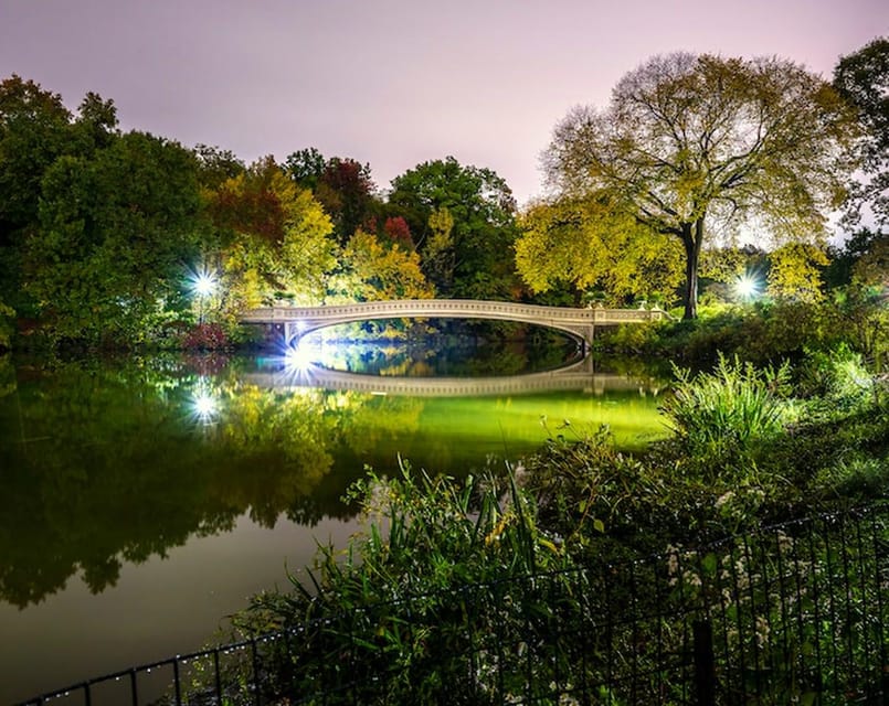 NYC: Central Park Christmas Lights Horse-Drawn Carriage Ride - Time, Traffic, and Why 45 Minutes Can Still Feel Long Enough