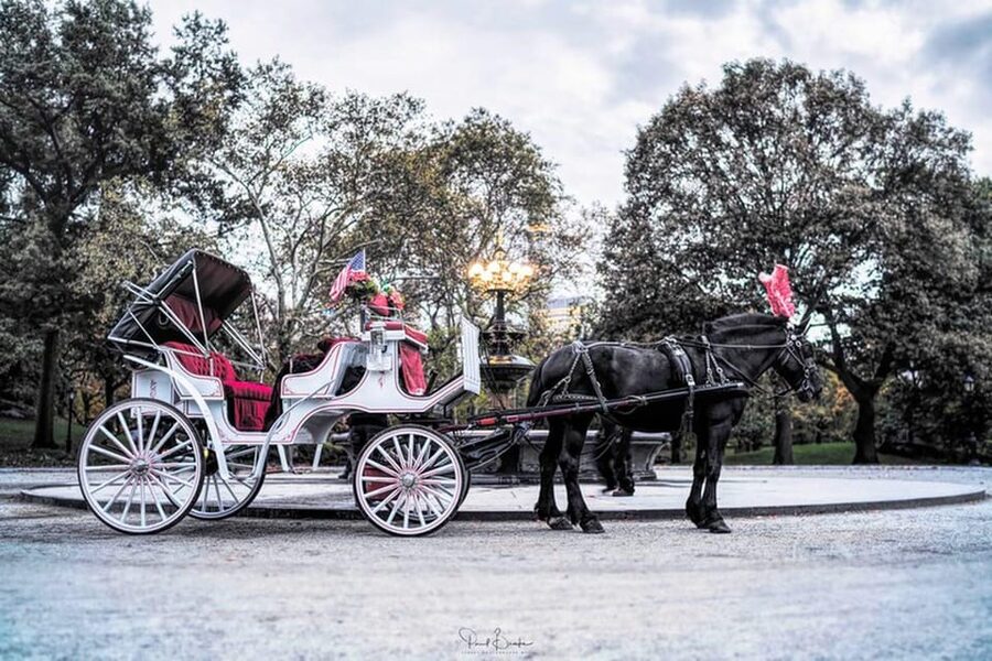 NYC: Central Park Christmas Lights Horse-Drawn Carriage Ride - Should You Book This Central Park Christmas Lights Horse-Drawn Carriage Ride?