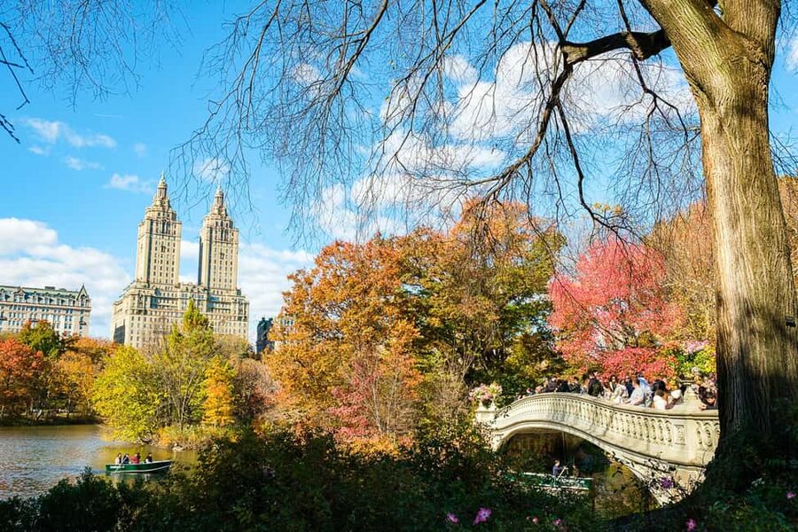 NYC: Central Park Elf & Home Alone Film Spots Pedicab Tour - Meeting at 1411 6th Ave and staying comfortable in real weather