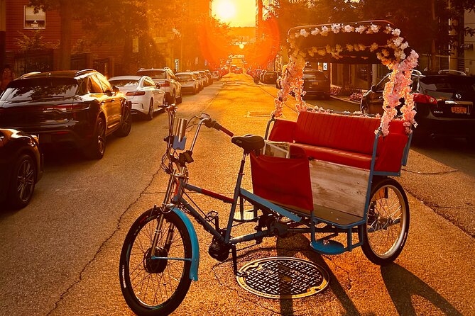 NYC Central Park guided Pedicab Tour - 1 hour - Early Central Park stops: carousel, Chess & Checkers House, and the Dairy