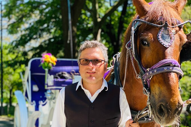 NYC Central Park Horse and Carriage Ride: Long Ride 45 min - Meeting at 7th Avenue & Central Park South (and finding your carriage fast)