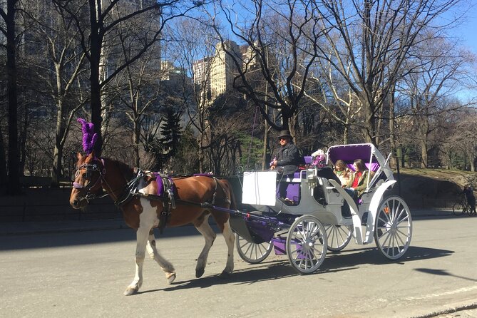 NYC Central Park Horse and Carriage Ride: Long Ride 45 min - The Southend Quadrant loop: the sights you’ll see in order