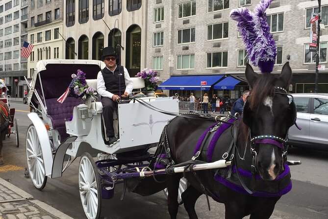 NYC Central Park Horse and Carriage Ride: Long Ride 45 min - Story stops you’ll catch along the way (Lennon, Bethesda, and more)