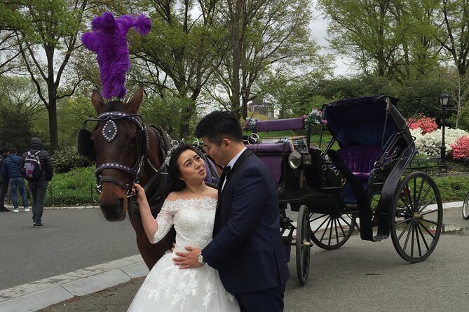 NYC Central Park Horse and Carriage Ride: Long Ride 45 min - Pace, weather, and timing: how to avoid disappointment