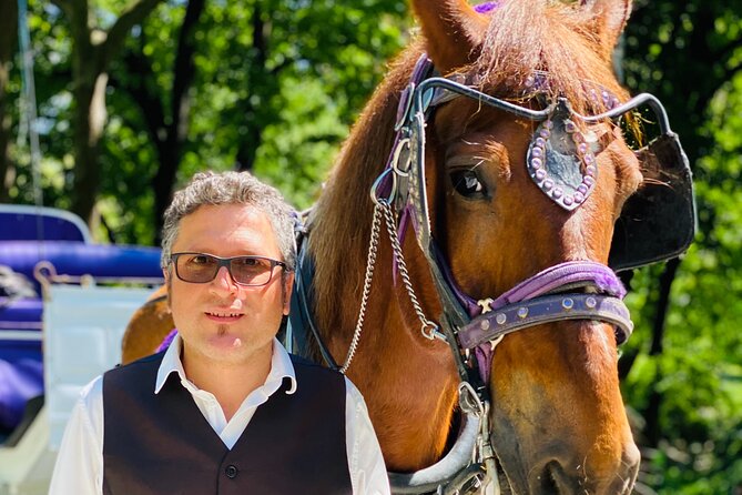NYC Central Park Horse and Carriage Ride: Long Ride 45 min - Price and group size: when the carriage is good value