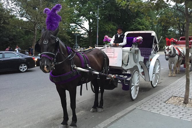NYC Central Park Horse and Carriage Ride: Long Ride 45 min - Who should book this ride (and who might skip it)