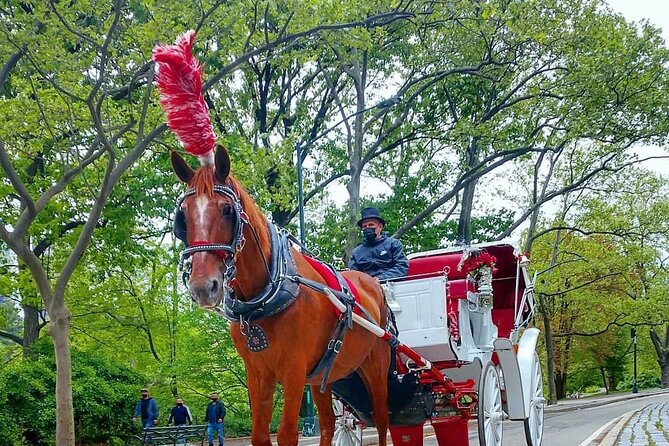 NYC Central Park Horse and Carriage Ride: Long Ride 45 min - Private carriage time: what you’re really buying