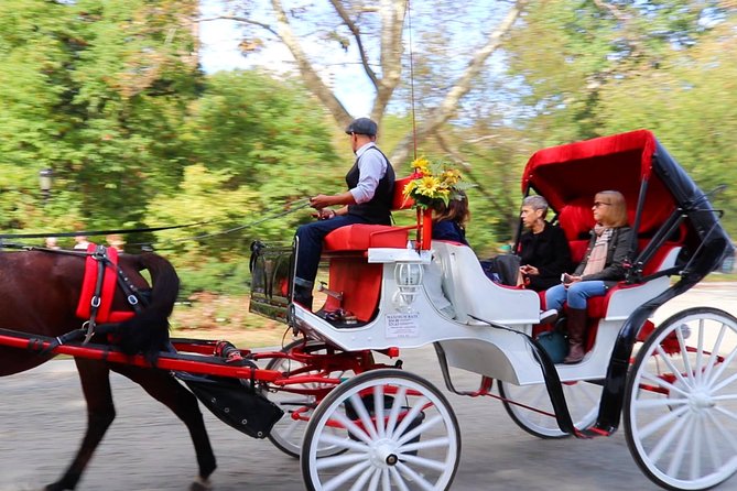 NYC Central Park Horse Carriage Ride (Up to 4 Adults) - The 45-minute Central Park shortcut you’ll actually enjoy