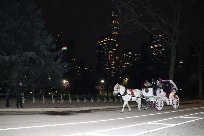 NYC Central Park Horse Carriage Ride (Up to 4 Adults) - Weather gear and what happens when conditions change