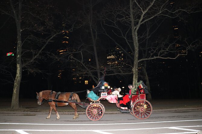 NYC Central Park Horse Carriage Ride (Up to 4 Adults) - Price and value: $225 per carriage, not per person